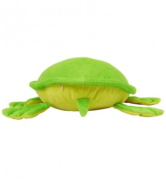 Turtle Teddy/Pyjama Case