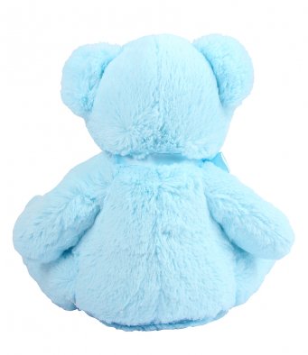 Bear Teddy/Pyjama Case