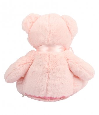 Bear Teddy/Pyjama Case