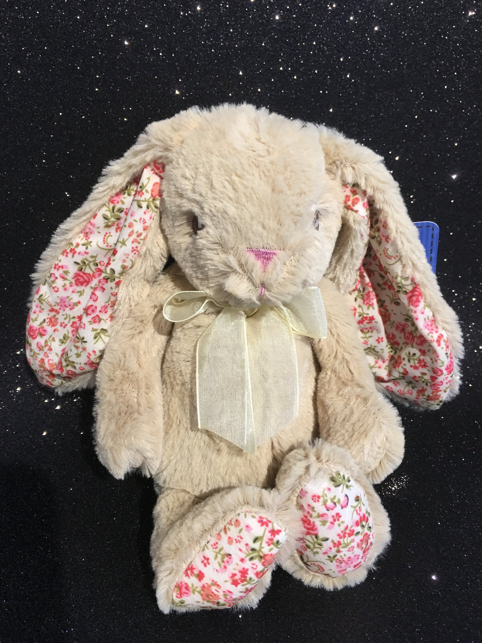 Poundland deals bunny teddy